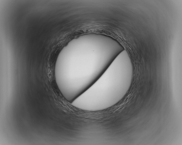X0000113581109200909181014