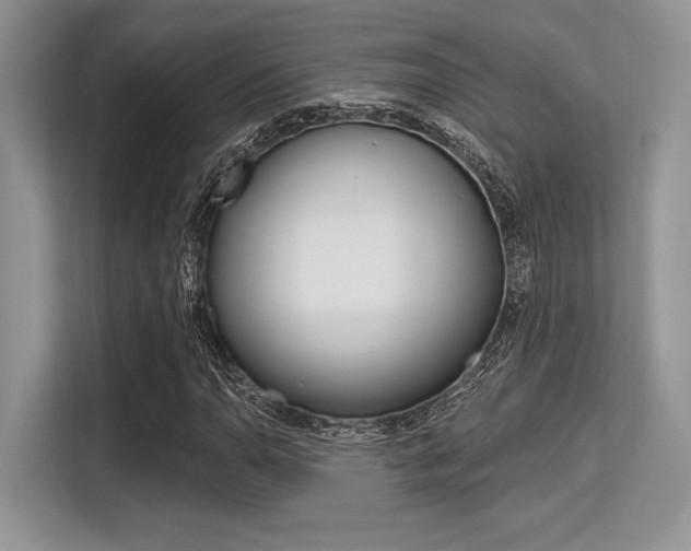 X0000113581110200909181014