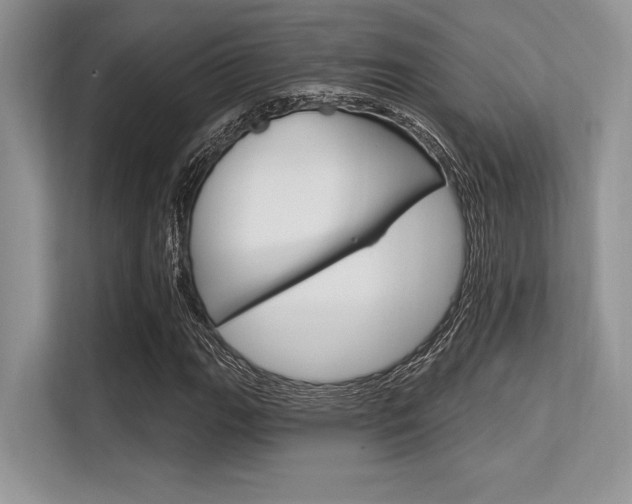 X0000113581111200909181014