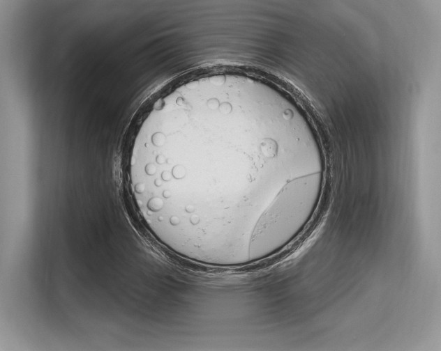 X0000113581113200909181014