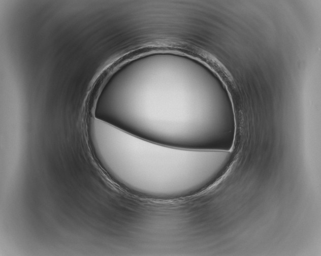 X0000113581114200909181014