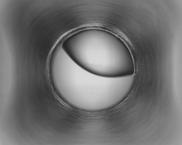 X0000113581116200909181014