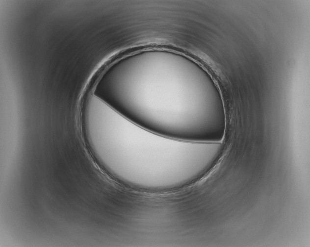 X0000113581118200909181014