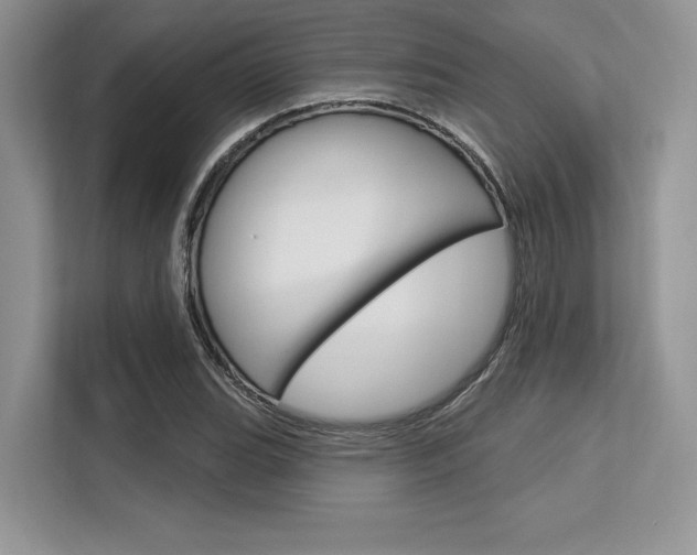 X0000113581119200909181014