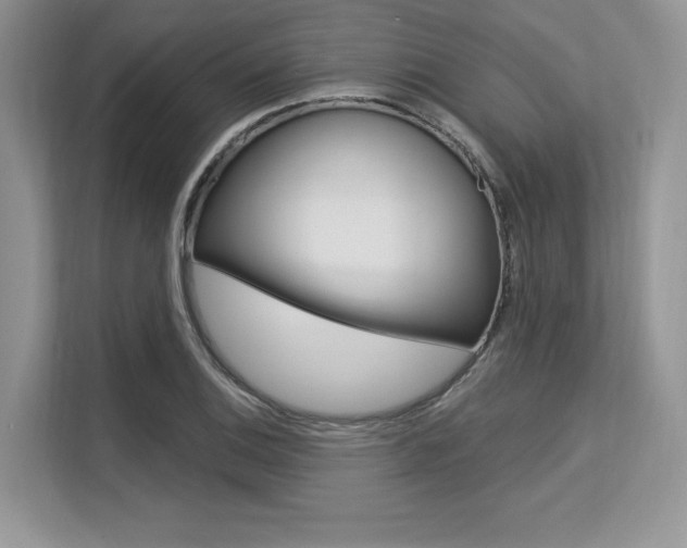 X0000113581124200909181014