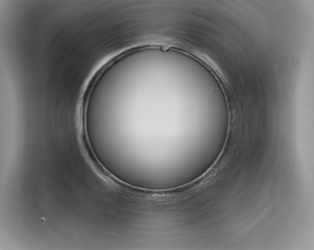 X0000113581128200909181014
