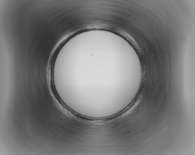 X0000113581130200909181014