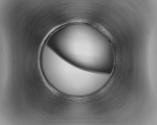 X0000113581132200909181014
