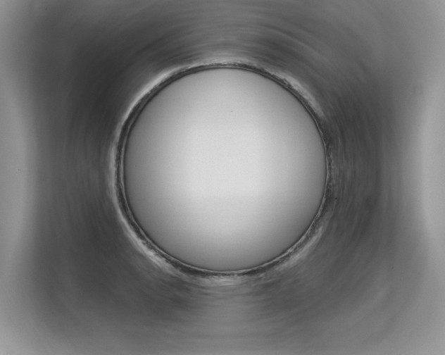 X0000113581134200909181014
