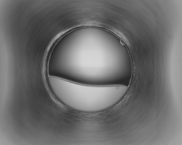 X0000113581136200909181014