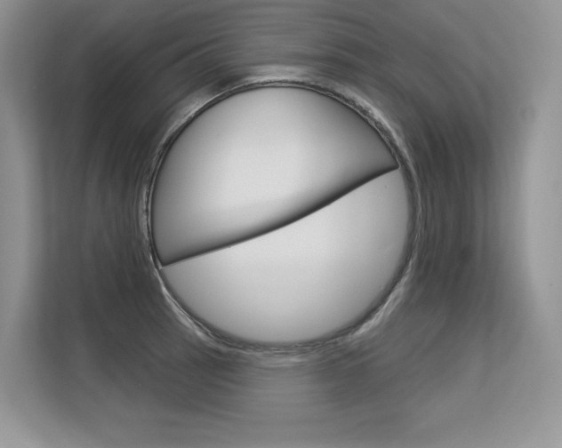 X0000113581137200909181014