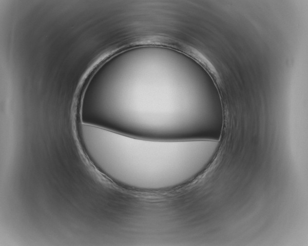 X0000113581138200909181014