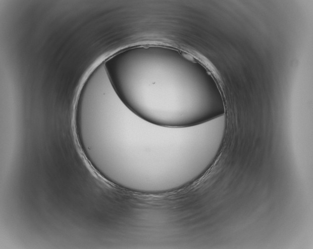 X0000113581144200909181014