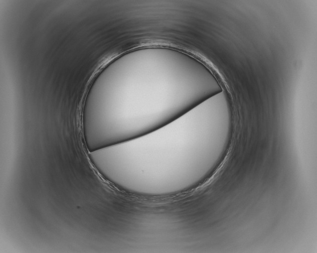 X0000113581145200909181014
