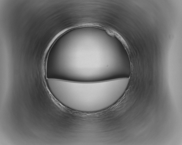 X0000113581148200909181014