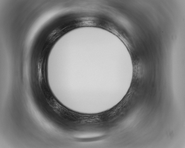 X0000113581150200909181014