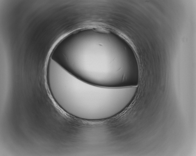 X0000113581152200909181014
