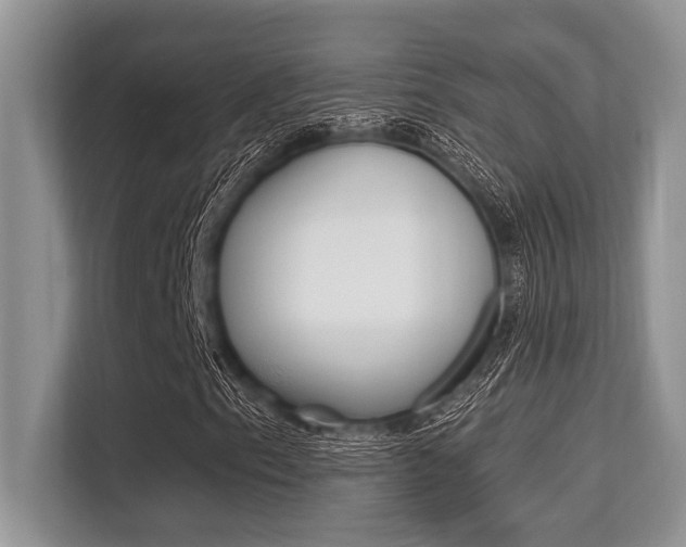X0000113581153200909181014