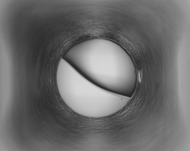 X0000113581155200909181014