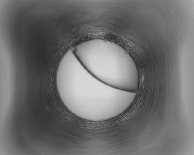 X0000113581156200909181014
