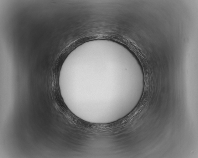 X0000113581158200909181014