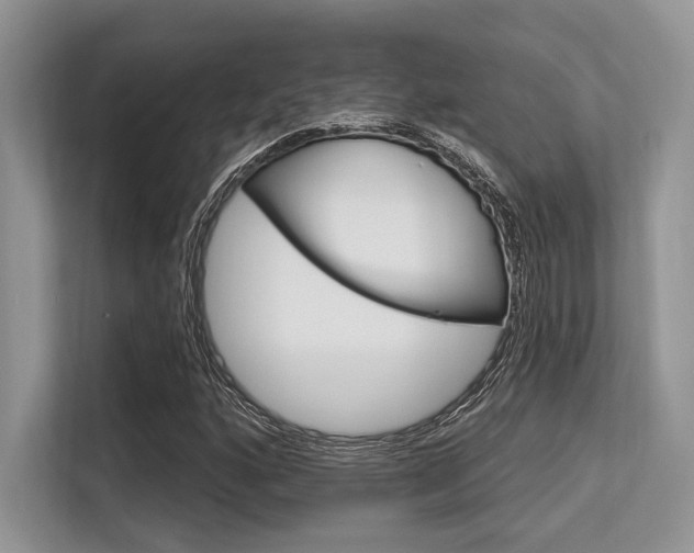 X0000113581160200909181014