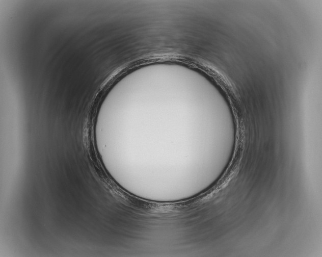 X0000113581162200909181014
