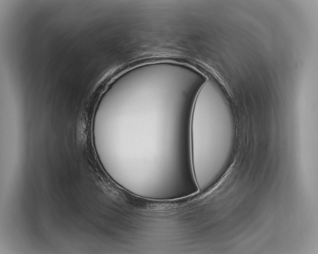 X0000113581163200909181014