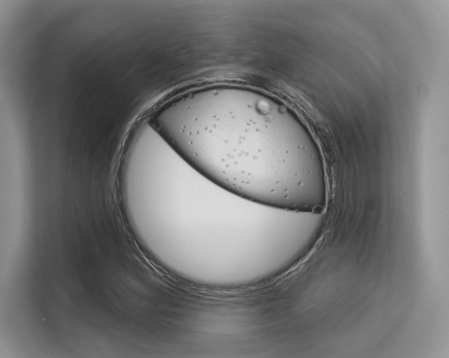 X0000113581164200909181014