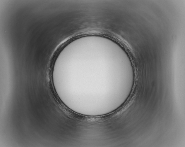 X0000113581166200909181014