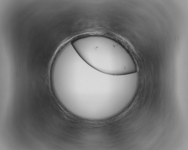 X0000113581168200909181014
