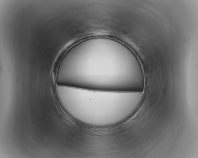 X0000113581171200909181014