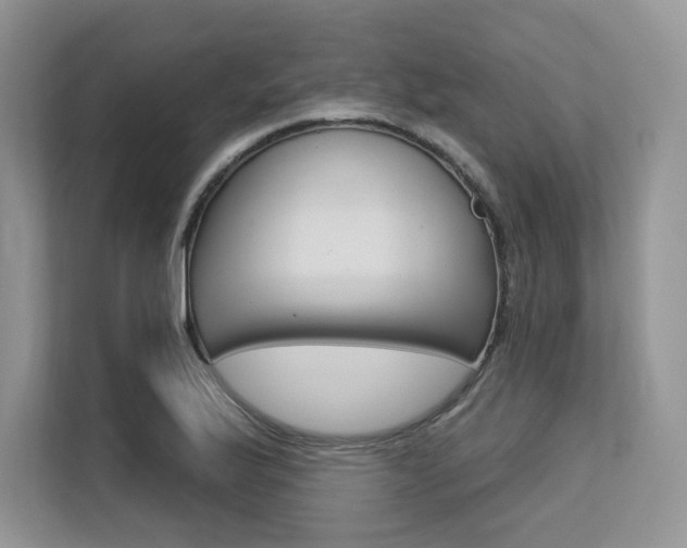 X0000113581175200909181014