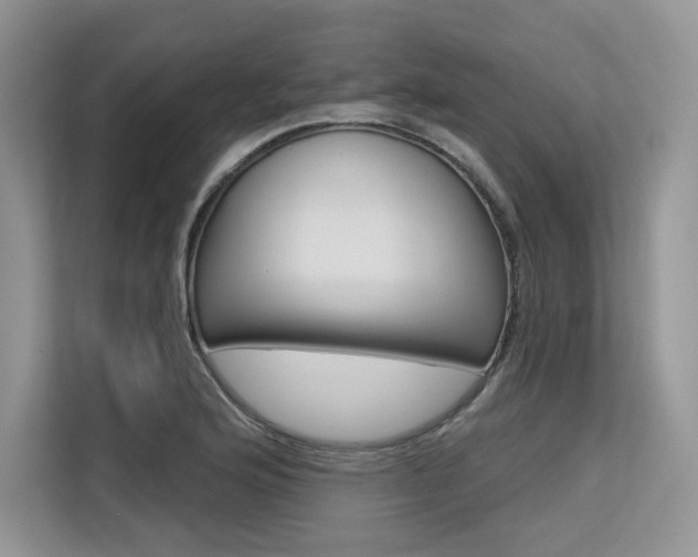 X0000113581176200909181013