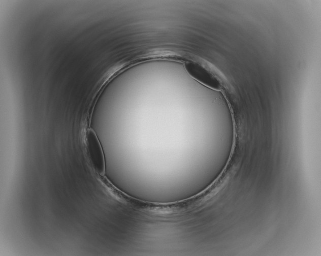 X0000113581177200909181013