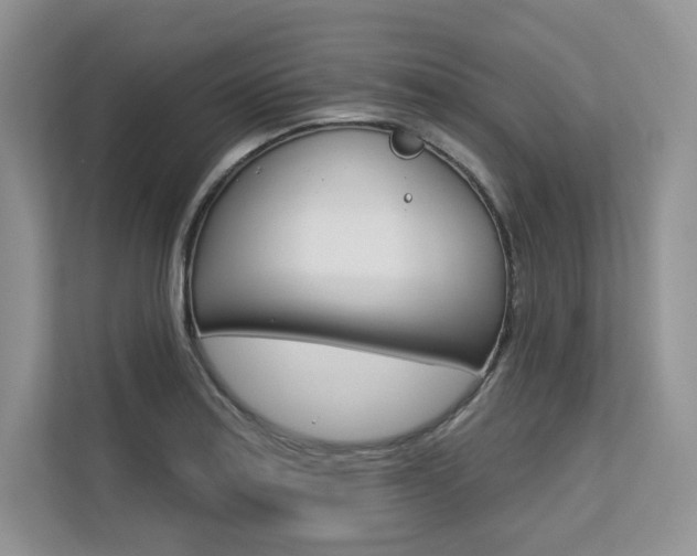 X0000113581179200909181013