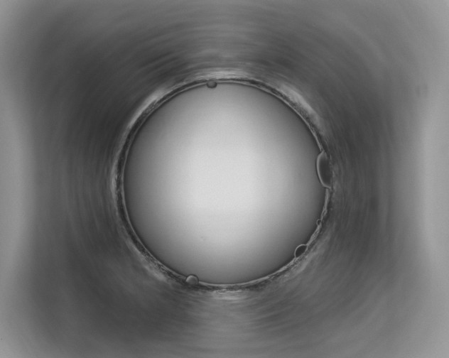 X0000113581181200909181013