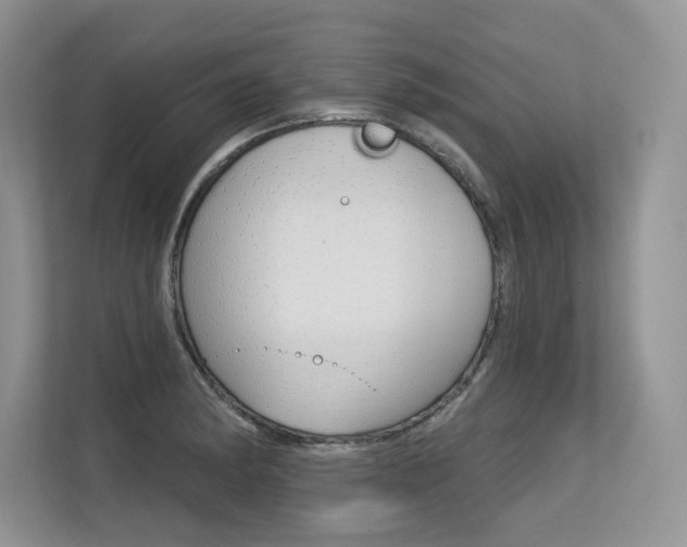 X0000113581182200909181013