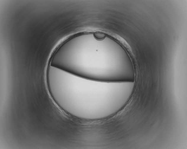 X0000113581183200909181013