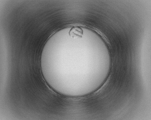 X0000113581185200909181013