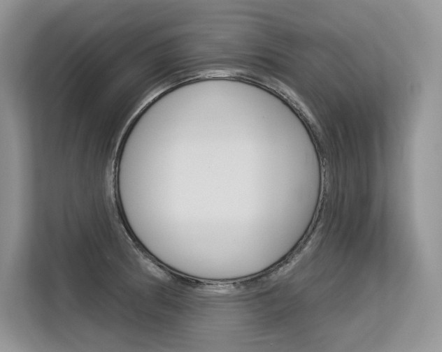 X0000113581186200909181013