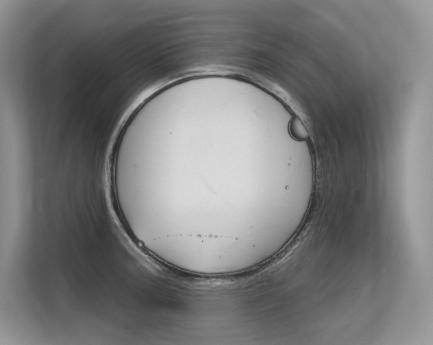 X0000113581187200909181013