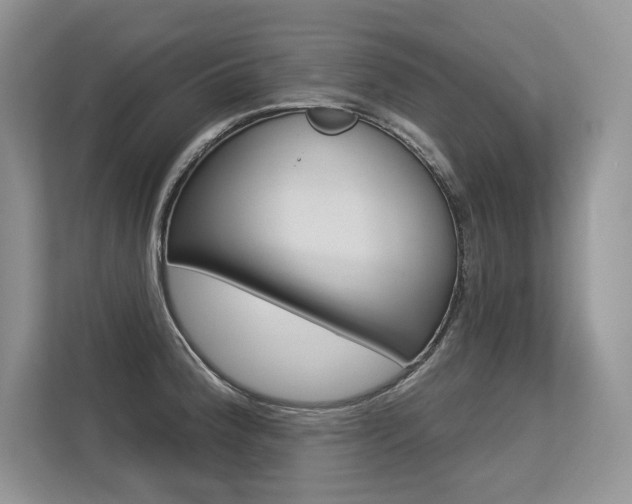 X0000113581188200909181013