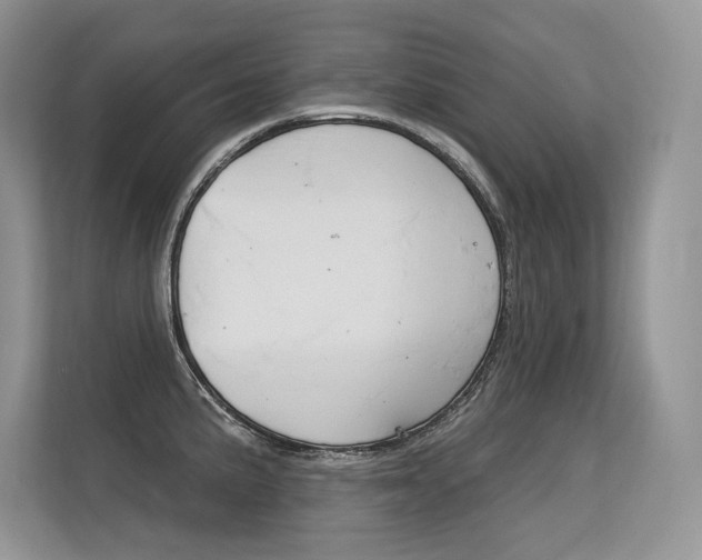 X0000113581191200909181013