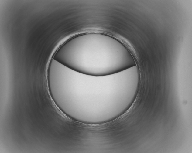 X0000113581192200909181013