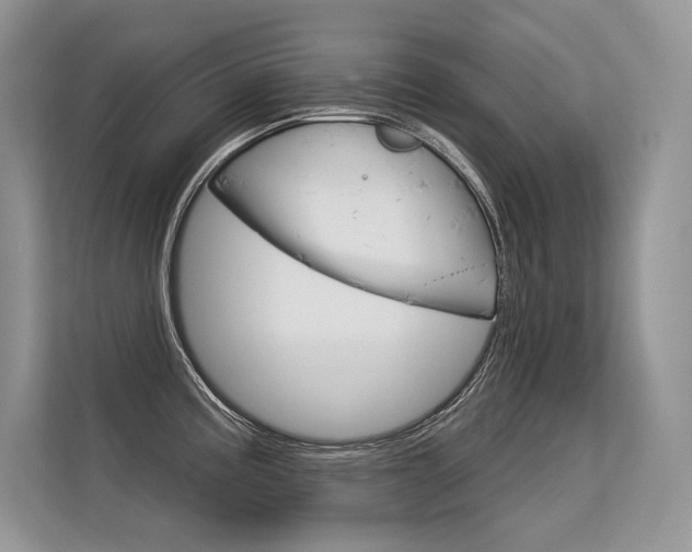 X0000113581195200909181013