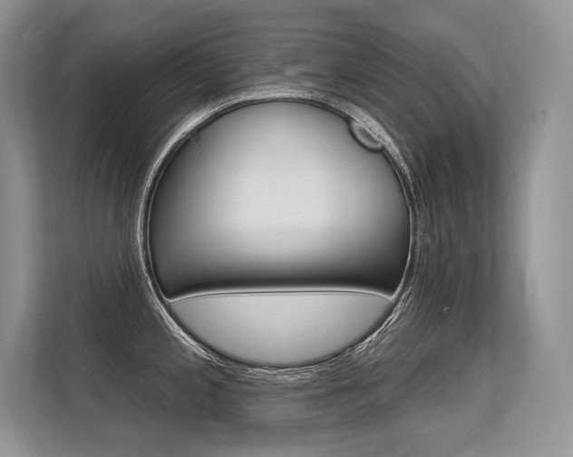 X0000113581197200909181013