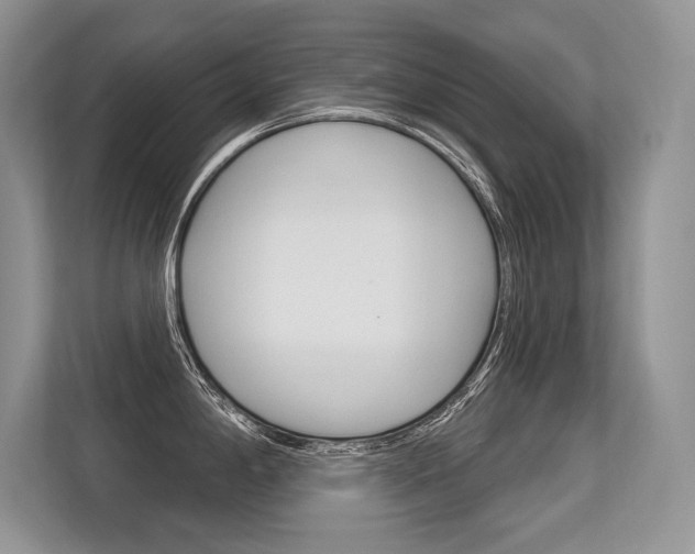 X0000113581198200909181013