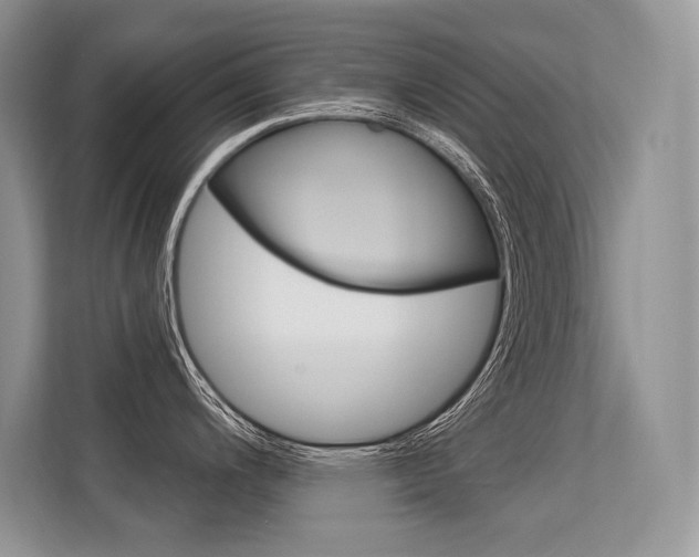 X0000113581200200909181013