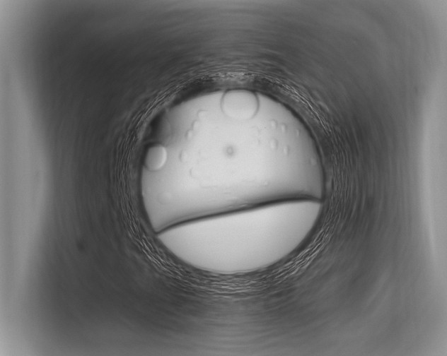 X0000113581201200909181013